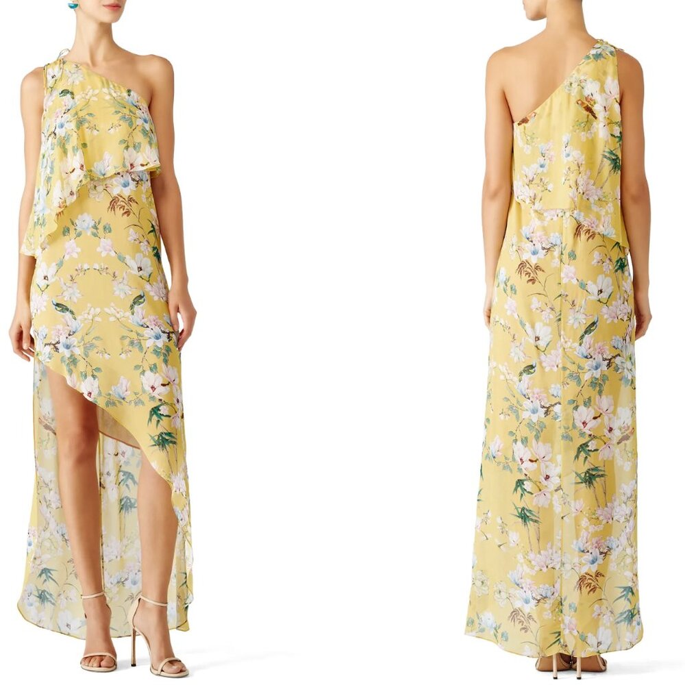NWT* Slate and Willow One Shoulder Chiffon Floral Gown 12  (*Small Hem Flaw)